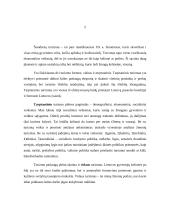 Turizmo reikšmė sprendžiant šalies socialines problemas 2 puslapis