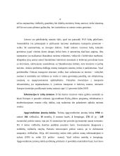 Turizmo reikšmė sprendžiant šalies socialines problemas 4 puslapis