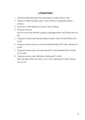 Mokslinės tikrovės pažinimas 13 puslapis