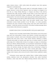 Turizmo verslas Lietuvoje 2 puslapis