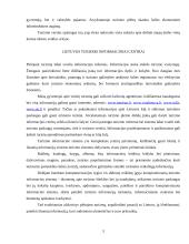 Turizmo verslas Lietuvoje 3 puslapis