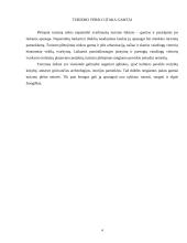 Turizmo verslas Lietuvoje 4 puslapis