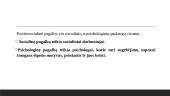 Psichosocialinė pagalba smurtautojui: specialistų požiūris 13 puslapis