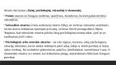 Psichosocialinė pagalba smurtautojui: specialistų požiūris 3 puslapis