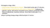 Nervų ir jutimų organų anatomija ir fiziologija 19 puslapis