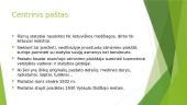 Tarpukario Kauno modernas 20 puslapis