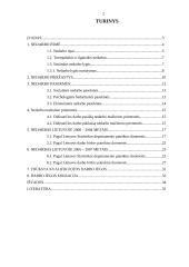 Nedarbo esmė ir problemos Lietuvoje