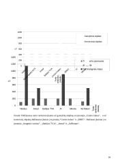 Turto vertinimo įmonės Lietuvoje 18 puslapis