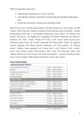 Turto vertinimo įmonės Lietuvoje 5 puslapis