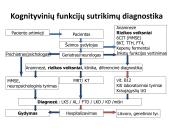 Integruota demencija sergančiųjų priežiūra 20 puslapis