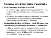 Integruota demencija sergančiųjų priežiūra 6 puslapis