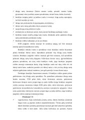 Ūkinės bendrijos (referatas) 6 puslapis