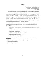 Ūkio subjekto finansinė analizė 2 puslapis