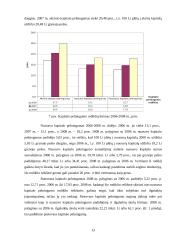 Ūkio subjekto finansinė analizė 13 puslapis