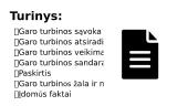 Garo turbina 3 puslapis