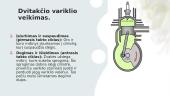Dvitaktis vidaus degimo variklis (skaidrės) 6 puslapis