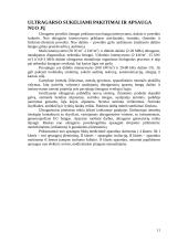 Ultragarso bangos 11 puslapis