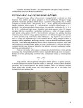 Ultragarso bangos 4 puslapis