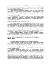 Ultragarso bangos 6 puslapis