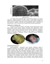 Ultragarso bangos 8 puslapis