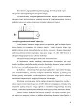 Ultragarsiniai tyrimai. Ultragarso vaidmuo širdies echoskopiniame tyrime 4 puslapis
