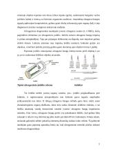 Ultragarsiniai tyrimai. Ultragarso vaidmuo širdies echoskopiniame tyrime 5 puslapis