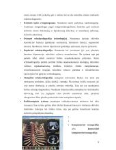 Ultragarsiniai tyrimai. Ultragarso vaidmuo širdies echoskopiniame tyrime 9 puslapis