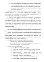 Universalūs pranešimai ir VPIM2 10 puslapis