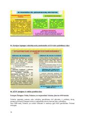 Tarptautinė žmogaus teisių apsauga. Egzamino klausimų konspektas 16 puslapis