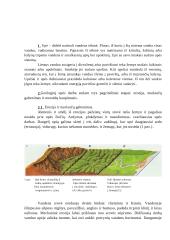 Upių geologinis darbas Lietuvoje 3 puslapis