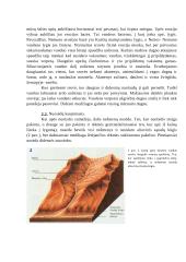 Upių geologinis darbas Lietuvoje 4 puslapis
