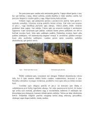 Upių geologinis darbas Lietuvoje 5 puslapis