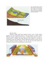 Upių geologinis darbas Lietuvoje 6 puslapis