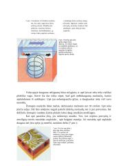 Upių geologinis darbas Lietuvoje 7 puslapis