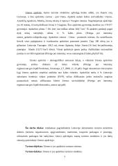 Utenos apskirties ir Utenos turizmo sistema 3 puslapis