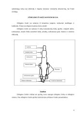 Uždegimo žvakės 4 puslapis