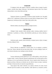 Uždegimo žvakės 5 puslapis