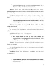 Uždegimo žvakės 8 puslapis