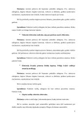 Uždegimo žvakės 9 puslapis