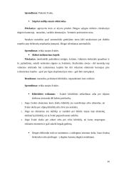 Uždegimo žvakės 10 puslapis