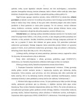 Užimtumas atskirose ekonominėse veiklose ir ūkio sektoriuose 7 puslapis