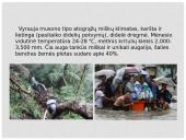 Filipinai. Šalies pristatymas 4 puslapis