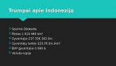 Indonezijos pristatymas 2 puslapis