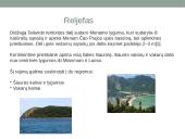 Tailando pristatymas 3 puslapis