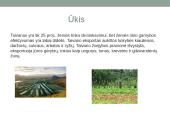 Tailando pristatymas 5 puslapis