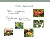 Tailando pristatymas 6 puslapis