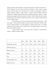 Užimtumo situacija Lietuvoje 13 puslapis