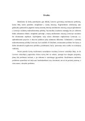 Užimtumo situacija Lietuvoje 17 puslapis