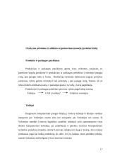 Užsakymo priėmimo ir atlikimo organizavimas įmonėje 17 puslapis