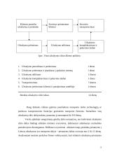 Užsakymo priėmimo ir atlikimo organizavimas įmonėje 5 puslapis